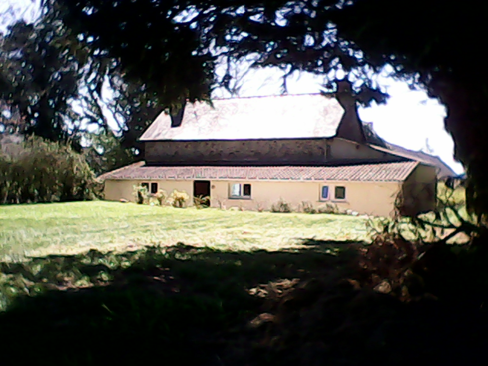 Great image of the rear of the house and garden.