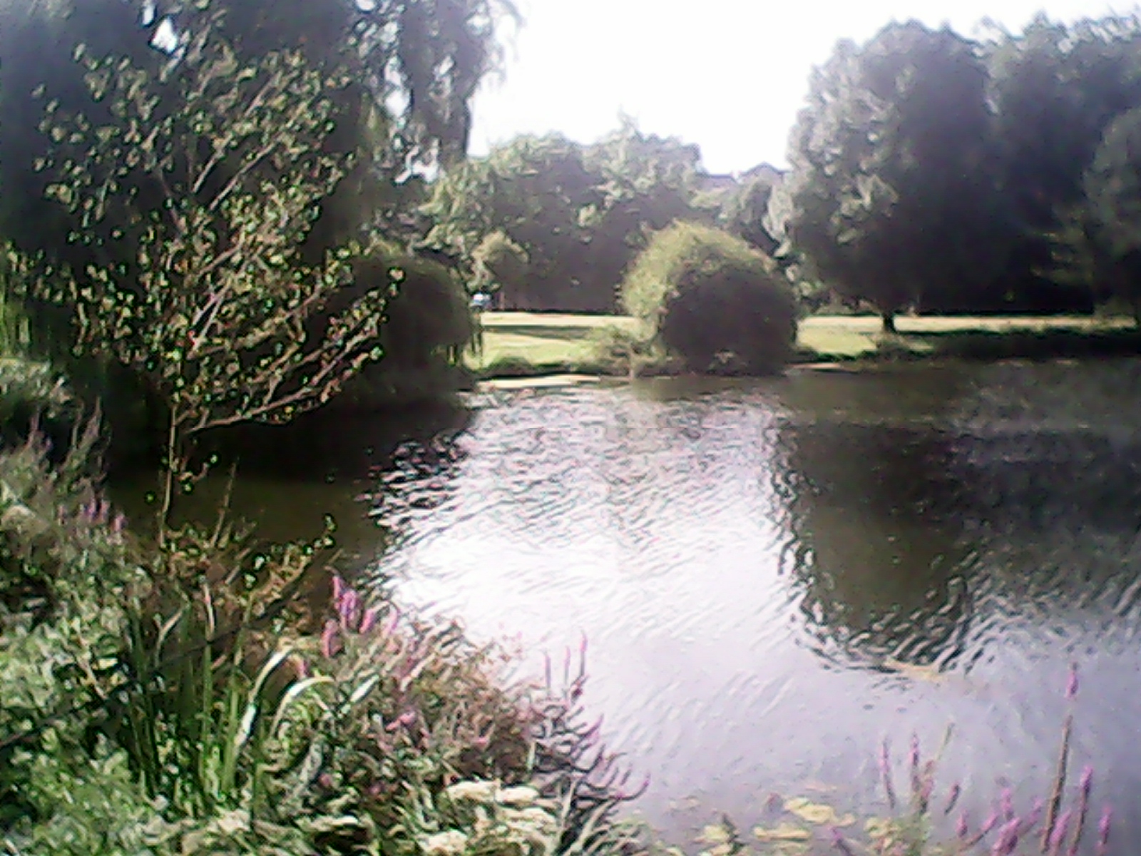 Lakeside Rohan